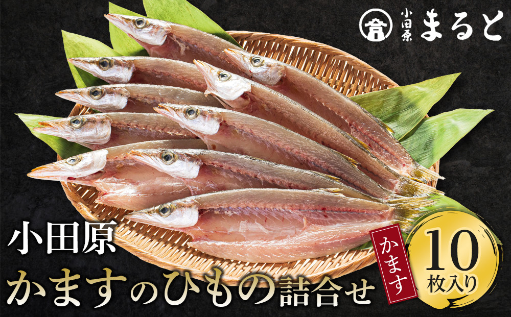 小田原かますのひもの詰合せ 10枚　SK-10 142069_AD013