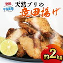 【ふるさと納税】 ＼10営業日以内発送／ 鰤 ぶり 天然ブリ 竜田揚げ 約 2kg 南予ビージョイ ブリ buri 唐揚げ からあげ 天然 南蛮漬け アレンジ 簡単調理 冷凍食品 冷凍 小分け パック 便利 海鮮 海産物 海の幸 おつまみ おかず 国産 愛媛 愛媛県産 宇和島 D010-150001