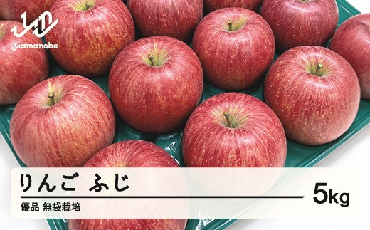 《先行予約》2026年 山形県産 令和8年 大玉 ふじりんご 5kg  無袋栽培 ※沖縄・離島への配送不可 ts-rifox5