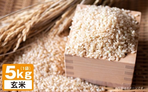 A241 【令和7年産】 ゆめぴりか （ 玄米 ） 栽培期間中農薬化学肥料不使用 5kg たかすタロファーム 北海道 鷹栖町 米 コメ こめ ご飯 お米