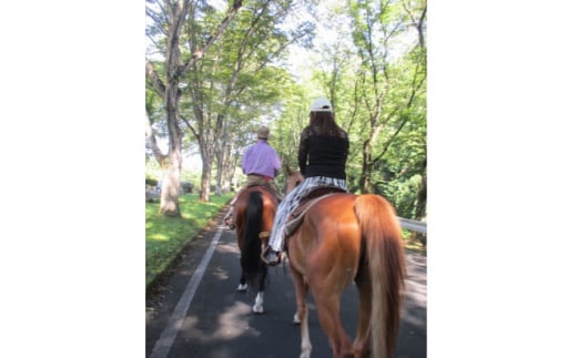 公道での乗馬～ちょっと道草ライド～1名（中学生以上）【1427727】