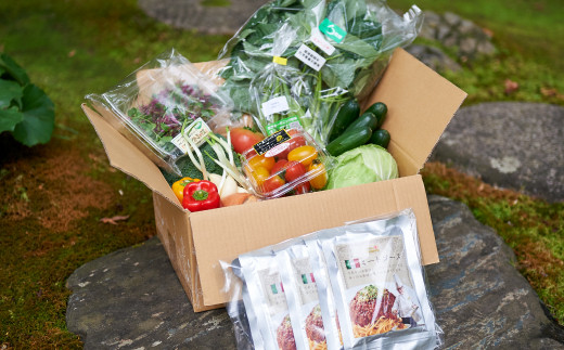 【シェフの目線】栽培期間中農薬不使用！サラダ野菜とシェフ自慢のミートソース（135g×5袋）セット［AGBX034］パスタ スパゲティ スパゲッティ 野菜 サラダ トマト 料理  大根 鍋 にんじん 
