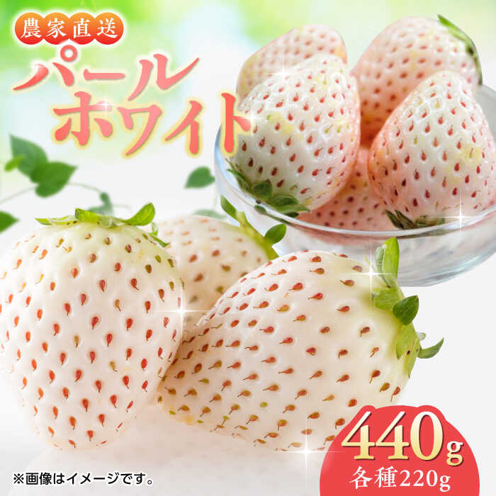 【ふるさと納税】佐賀県産 パールホワイト 約220g×2パック / イチゴ 苺 フルーツ 果物 / 佐賀県 / かわさきいちご [41ASBJ003]