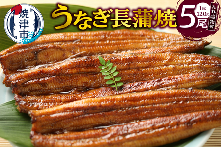 うなぎ120ｇ長蒲焼×5、たれ（山椒付）、吸物セット (a30-307)