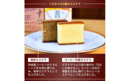 ジャパンバリスタチャンピオンシップ優勝者のいる珈琲専門店の自家焙煎コーヒー(DP)とカステラのセット【龍ケ崎市×つくば市×牛久市×利根町 共通返礼品】 | カステラ かすてら お菓子 おやつ スイーツ