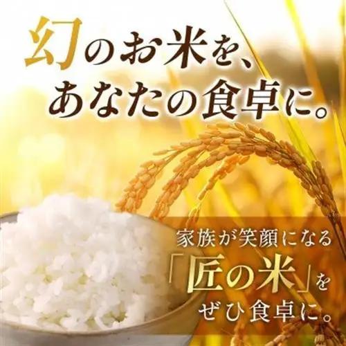 【毎月定期便】岐阜県産ハツシモ(精米) 10kg全3回【配送不可地域：離島】【4076383】