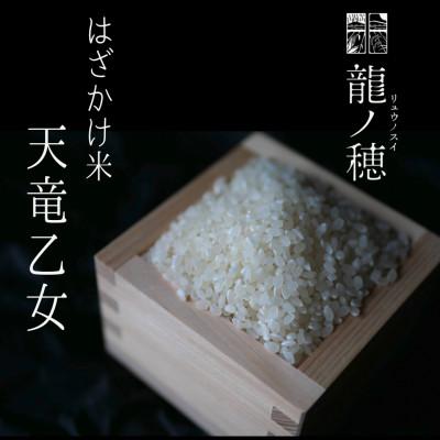 ふるさと納税 飯田市 【令和8年産】南信州産はざかけ米　天竜乙女5kg