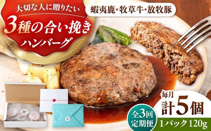 【全3回定期便】【蝦夷鹿×牧草牛×放牧豚】ハンバーグ 5個 《厚真町》【GOODGOOD株式会社】 ハンバーグ ギフト 鹿肉 牛肉 豚肉 小分け 冷凍配送 北海道 [AXBP019]