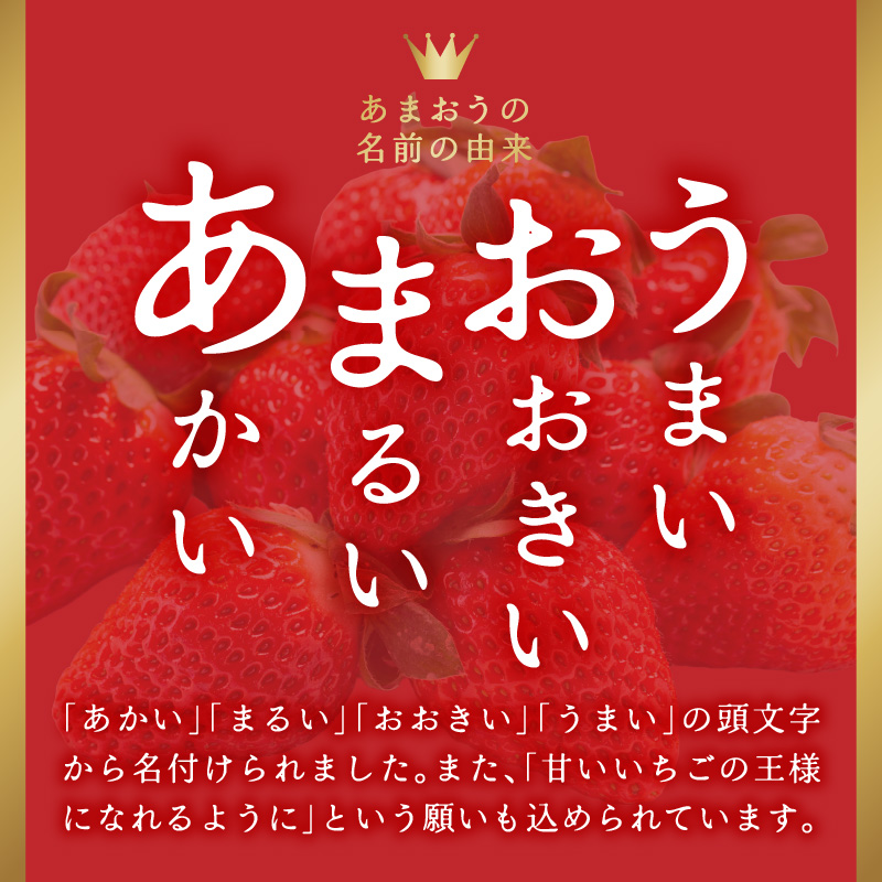 福岡県産あまおう 約250g×2パック  いちご イチゴ 苺 あまおう フルーツ 果物 くだもの 250g 2パック 福岡県 八女市