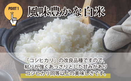 米 令和6年産 五百川 5kg (ごひゃくがわ) | 米