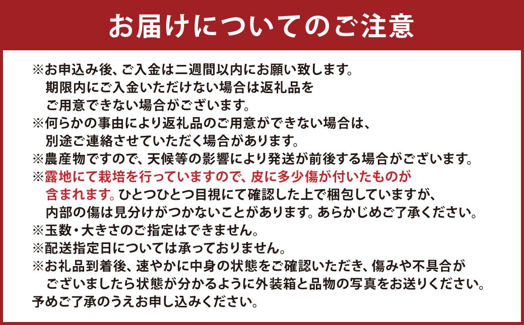 特別栽培不知火 3kg サイズミックス