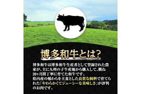 博多和牛切り落とし(300g×4パック・計1.2kg)牛肉 和牛 博多和牛 国産 切り落とし 小分け バラ モモ スネ＜離島配送不可＞【ksg1287】【くしだ企画】