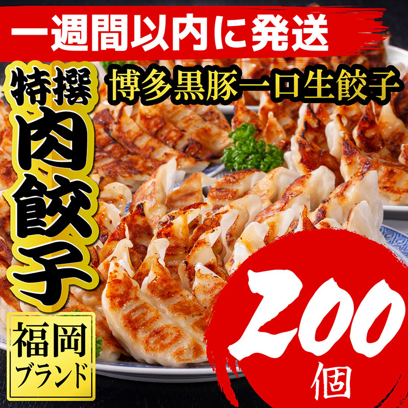【1週間以内に発送！】【福岡ブランド】博多黒豚一口生餃子 福岡県産ラー麦皮使用 創業40年以上福岡会社製造 | 博多 冷凍餃子 生餃子 焼き餃子 ぎょうざ ギョーザ 小分け 惣菜 人気 おすすめ 冷凍食品 冷凍 中華 お取り寄せ グルメ 福岡市