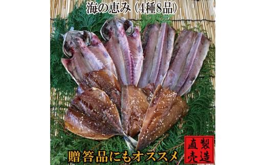 
海の恵 セット 1230 ／ 山田屋海産 あじ さば エボダイ さんま 干物 お取り寄せ 静岡県 東伊豆町
