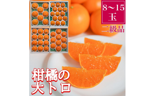 
                  ちょっと 傷あり 柑橘の大トロ ハウス せとか 8 ～ 15玉入 化粧箱 南泰園
                