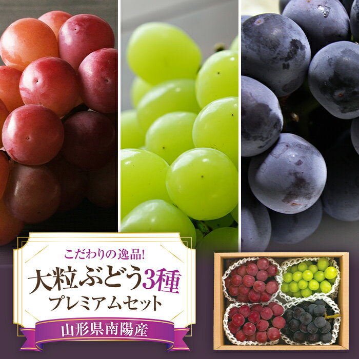 【ふるさと納税】 【令和8年産先行予約】 大粒ぶどう3種プレミアムセット 4房 《令和8年9月上旬～発送》 『うえ木ぶどう園』 葡萄 ブドウ 果物 フルーツ デザート 食べ比べ 山形県 南陽市 [676]