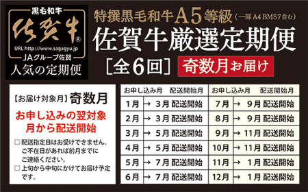 ｎ－７ 【奇数月に６回発送】大人気の赤身も食べられる！佐賀牛 定期便