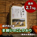 【ふるさと納税】【無肥料無農薬】瀬戸内三原 羊飼いのこしひかり白米2.1kg 002016