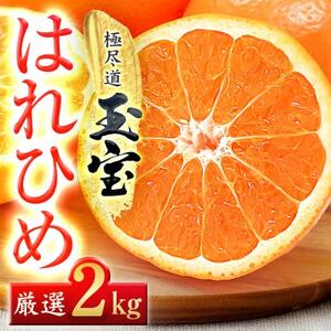【愛媛名産】玉宝はれひめ　2kg【A64-80】【1623963】