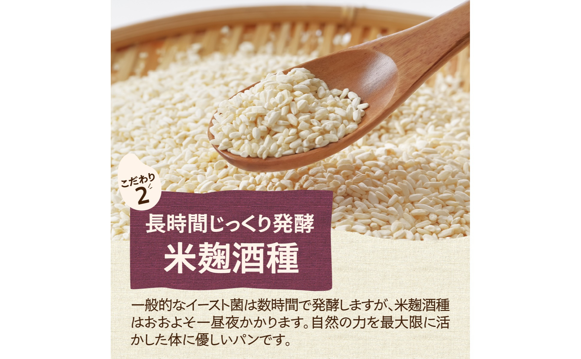 ずっしり＆もっちり！冷凍生米食ぱん 茨城県産こしひかり100% プレーン＆ココア2本 | パン 食パン 朝食 グルテンフリー 長時間発酵 添加物不使用 ぱん こしひかり プレーン もちもち 米 白米 