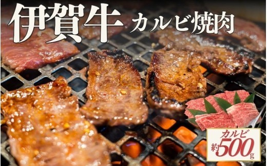伊賀牛 カルビ焼肉 約500g/ 伊賀牛 カルビ 焼肉 約500g 牛肉 和牛 国産牛 ブランド牛 伊賀牛肉 牛カルビ カルビ肉 焼肉用 焼き肉 やきにく BBQ バーベキュー 肉 お肉 肉料理 牛肉料理 国産 高級肉 旨み お取り寄せ グルメ 冷凍 食品 自宅用 家庭用 ごちそう 贅沢 伊賀 三重県産 伊賀牛 カルビ 焼肉 牛肉 赤身 脂身 焼肉グルメ 和牛肉 国産牛肉 【cook0053】