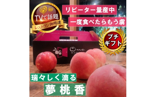 ＜瑞々しく滴る次世代を担う夢桃香＞人気品種指定ギフト4年連続TV出演話題ブランド2025年6月下旬～【1465408】