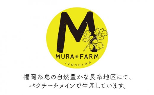 【先行予約販売】糸島産 パクチー 600g ( 100g × 6袋 )  糸島市 / MURA FARM [AFD001]