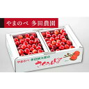 【ふるさと納税】《先行予約》2025年 山形県産 紅さやか バラ詰め(パック）1kg M～L やまのべ多田耕太郎のさくらんぼ サクランボ フルーツ 果物 くだもの F4A-0343