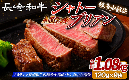 【超希少部位】長崎和牛 A5等級 シャトーブリアン 120g×9枚 総量1.08kg【田中精肉店】シャトーブリアン ヒレ フィレ ステーキ 赤身 和牛 黒毛和牛 牛肉 希少部位