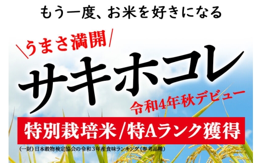 《令和8年産 新米受付》米《定期便3ヶ月》サキホコレ特別栽培米6kg（2kg×3袋) 3回 計18kg 白米 [秋田県産 白米 さきほこれ 小分け 2kg 2kg袋]