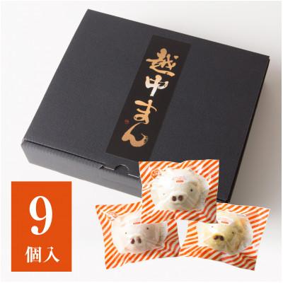 ふるさと納税 富山県 越中ぶたキャラまん9ヶ入り