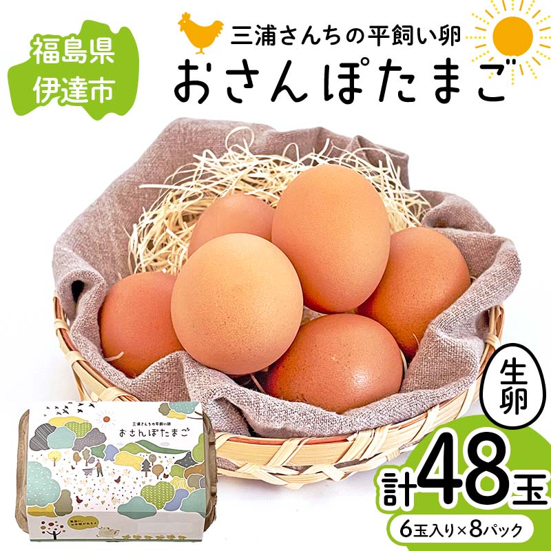 三浦さんちの平飼い卵 おさんぽたまご 計48玉 伊達市 福島県 国産 養鶏場直送 卵 たまご 玉子 生卵 鶏卵 F20C-949