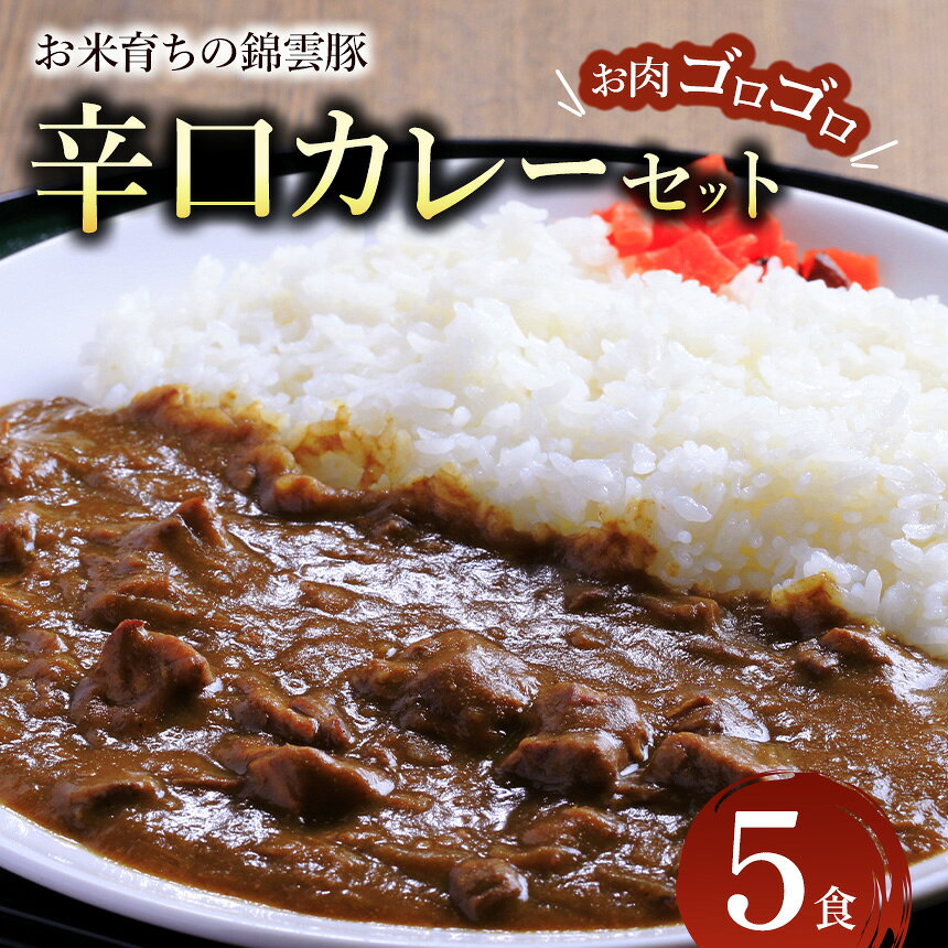 【ふるさと納税】錦雲豚カレー辛口 たっぷり 5食 セット | レトルトカレー レトルト 惣菜 おかず 国産 九州産 大分県産 中津市 ブランド豚 豚肉 送料無料