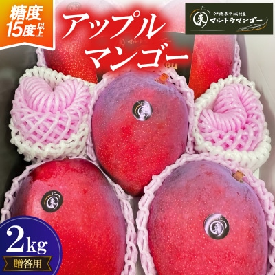 【2026年6月下旬から順次発送】マルトウマンゴーの贈答用アップルマンゴー2kg【配送不可地域：離島】