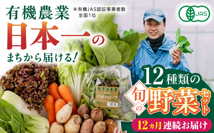 
            【全12回定期便】四季を味わう野菜セット 旬の野菜 有機栽培 オーガニック 山都町【株式会社 肥後やまと】 [YAF022]
          