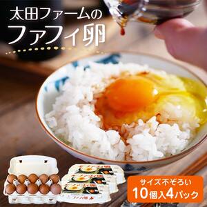 ファフィ卵10個入4パック（サイズ不ぞろい）