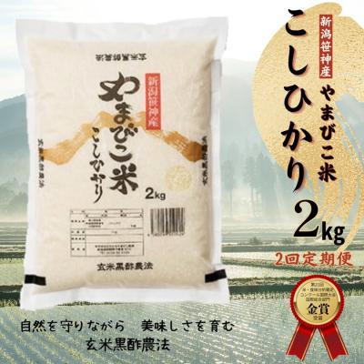 ふるさと納税 阿賀野市 【令和7年産】【2か月定期便】コシヒカリ「やまびこ米」2kg×2回