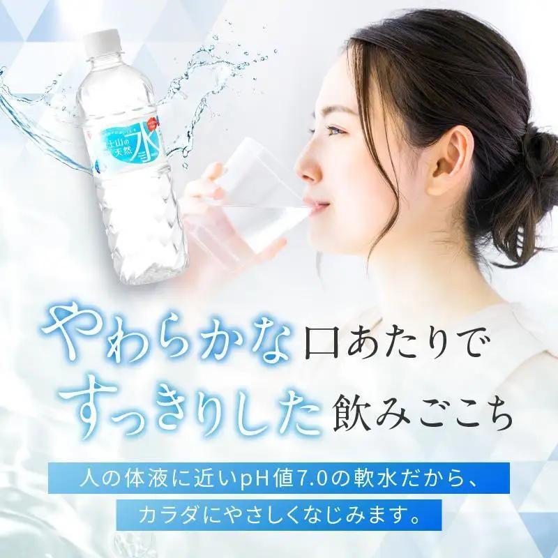 天然水【定期便3ヶ月毎2回】500ml 24本 天然水