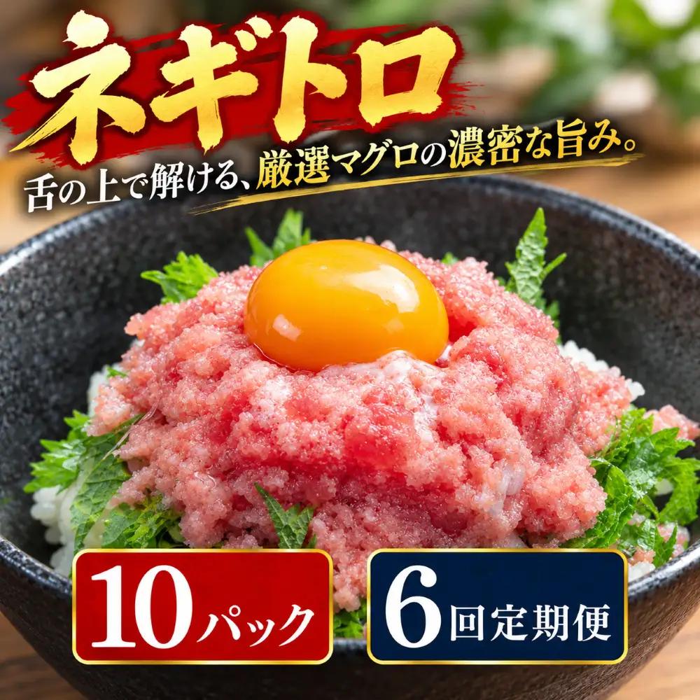 6回定期便 まぐろのネギトロ 10パック 【ねぎとろ】