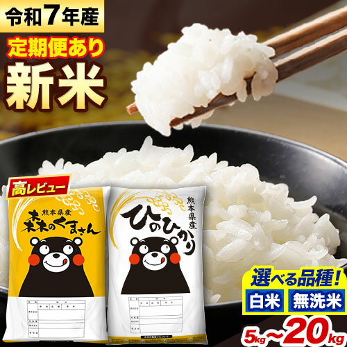 定期便 あり 無洗米 も選べる ひのひかり 10kg 5kg×2袋