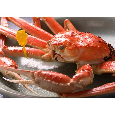 ふるさと納税 鯖江市 【11月6日漁解禁】福井冬の味覚!越前がに 1杯 (1,100〜1,200g) |  | 01