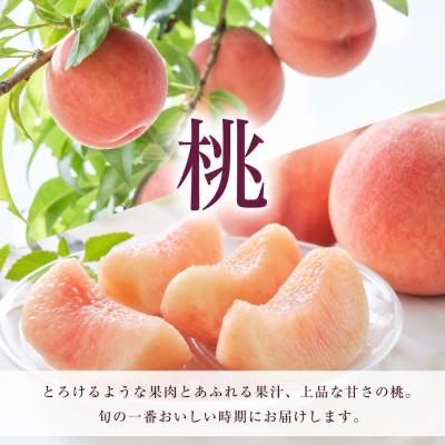ふるさと納税 かつらぎ町 【発送月固定定期便】紀州和歌山産旬のフルーツセット(桃・梨・ピオーネ)全3回 |  | 01
