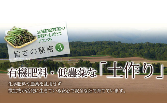 【2027年春発送】ふらの産☆生で食べれる アスパラ【3kg】150