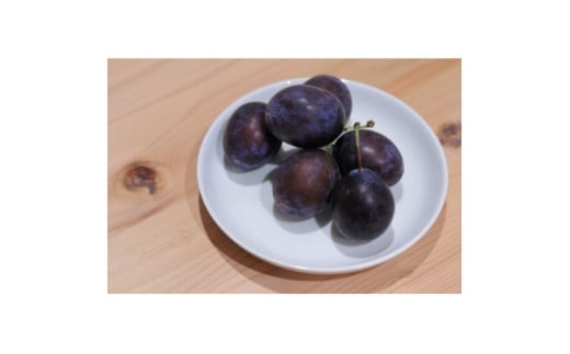 ＜2025年発送＞北信州産地直送　旬のプルーン　約1.2kg【1585439】