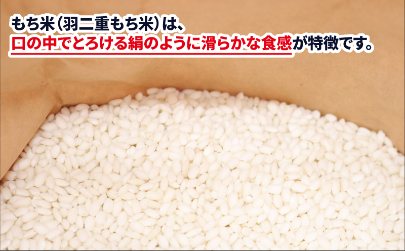もち米 羽二重もち 3kg ワールドファーマーズ 先行予約 お米 米 餅米 はぶたえもち 餅ごめ お餅 おもち 餅菓子 なめらか お団子 だんご 鏡餅 甘い モチ お正月 産地直送 数量限定 国産 愛