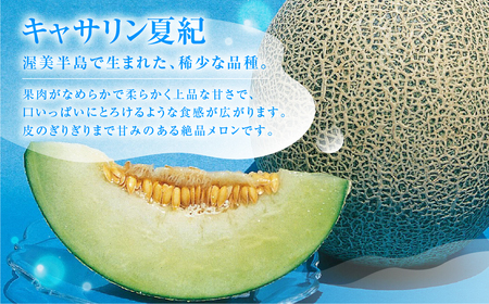 【先行予約】渥美半島産 青木さんちのキャサリン夏紀 樹上完熟 4玉~5玉 約5kg メロン キャサリン 青肉メロン 完熟 フルーツ 果物 デザート 農家直送 送料無料 熟成