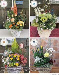 定期便 年4回 テラコッタ 寄せ植え 季節 花苗 おまかせ ガーデニング お花 フラワー 玄関 インテリア ふるさとおすすめ 頒布会 ( 人気花 ふるさと納税花 ふるさと花 furusato花 おすす
