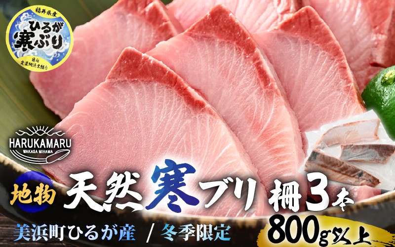 
                  【先行予約】天然！地物！ひるがの寒ぶり 柵3本【合計800g以上】【2027年1月中旬以降順次発送予定】【ブランド 寒ブリ 寒鰤 かんぶり ぶり ブリ 鰤 ブリトロ ぶりとろ 新鮮 生食 刺身 海鮮丼 ぶりしゃぶ 日向 福井 冬の味覚 海鮮 冷凍 プレゼント】 [m36-b019]
                