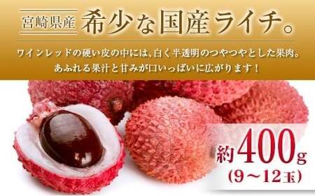 ◆宮崎県産 マンゴー＆ライチセット（合計約1.4kg）