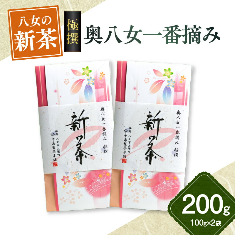【ふるさと納税】【新茶】ギフト用 八女新茶　一番摘み 極撰（100g×2袋）【2025年4月下旬発送開始】 お茶 緑茶 八女茶 茶葉 煎茶 高品質